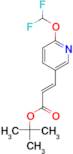 (E)-TERT-BUTYL 3-(6-(DIFLUOROMETHOXY)PYRIDIN-3-YL)ACRYLATE