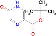 TERT-BUTYL 5-HYDROXYPYRAZINE-2-CARBOXYLATE
