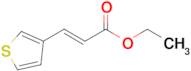 (E)-ETHYL 3-(THIOPHEN-3-YL)ACRYLATE