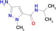 3-amino-N-isopropyl-1-methyl-1H-pyrazole-5-carboxamide