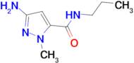 3-amino-1-methyl-N-propyl-1H-pyrazole-5-carboxamide