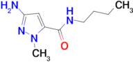 3-amino-N-butyl-1-methyl-1H-pyrazole-5-carboxamide