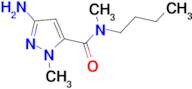 3-amino-N-butyl-N,1-dimethyl-1H-pyrazole-5-carboxamide