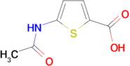 5-(acetylamino)thiophene-2-carboxylic acid