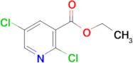 ethyl 2,5-dichloronicotinate