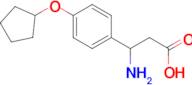 3-amino-3-[4-(cyclopentyloxy)phenyl]propanoic acid