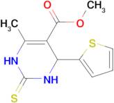 methyl 6-methyl-4-(2-thienyl)-2-thioxo-1,2,3,4-tetrahydropyrimidine-5-carboxylate