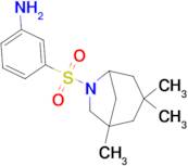 3-[(1,3,3-trimethyl-6-azabicyclo[3.2.1]oct-6-yl)sulfonyl]aniline