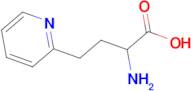 2-amino-4-pyridin-2-ylbutanoic acid