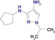 N~3~-cyclopentyl-1-isopropyl-1H-pyrazole-3,4-diamine