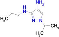 1-isopropyl-N~3~-propyl-1H-pyrazole-3,4-diamine