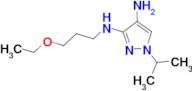 N~3~-(3-ethoxypropyl)-1-isopropyl-1H-pyrazole-3,4-diamine