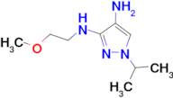 1-isopropyl-N~3~-(2-methoxyethyl)-1H-pyrazole-3,4-diamine