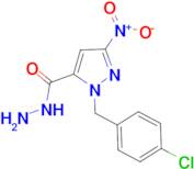 1-(4-chlorobenzyl)-3-nitro-1H-pyrazole-5-carbohydrazide