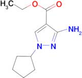 ethyl 3-amino-1-cyclopentyl-1H-pyrazole-4-carboxylate