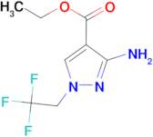 ethyl 3-amino-1-(2,2,2-trifluoroethyl)-1H-pyrazole-4-carboxylate