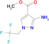 methyl 3-amino-1-(2,2,2-trifluoroethyl)-1H-pyrazole-4-carboxylate