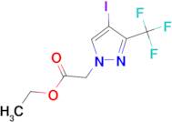 ethyl [4-iodo-3-(trifluoromethyl)-1H-pyrazol-1-yl]acetate