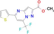 methyl 5-(2-thienyl)-7-(trifluoromethyl)pyrazolo[1,5-a]pyrimidine-2-carboxylate