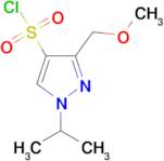 1-isopropyl-3-(methoxymethyl)-1H-pyrazole-4-sulfonyl chloride