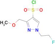 1-(2-fluoroethyl)-3-(methoxymethyl)-1H-pyrazole-4-sulfonyl chloride