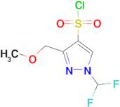 1-(Difluoromethyl)-3-(methoxymethyl)-1H-pyrazole-4-sulfonyl chloride