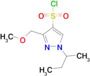 1-sec-butyl-3-(methoxymethyl)-1H-pyrazole-4-sulfonyl chloride