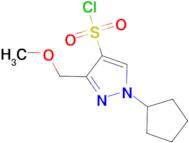 1-cyclopentyl-3-(methoxymethyl)-1H-pyrazole-4-sulfonyl chloride