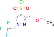 3-(ethoxymethyl)-1-(2,2,2-trifluoroethyl)-1H-pyrazole-4-sulfonyl chloride