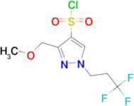 3-(methoxymethyl)-1-(3,3,3-trifluoropropyl)-1H-pyrazole-4-sulfonyl chloride