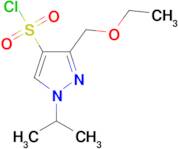 3-(ethoxymethyl)-1-isopropyl-1H-pyrazole-4-sulfonyl chloride