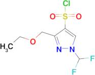 1-(Difluoromethyl)-3-(ethoxymethyl)-1H-pyrazole-4-sulfonyl chloride