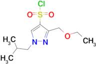 3-(ethoxymethyl)-1-isobutyl-1H-pyrazole-4-sulfonyl chloride