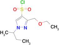 1-sec-butyl-3-(ethoxymethyl)-1H-pyrazole-4-sulfonyl chloride