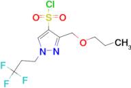 3-(propoxymethyl)-1-(3,3,3-trifluoropropyl)-1H-pyrazole-4-sulfonyl chloride