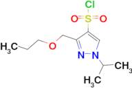 1-isopropyl-3-(propoxymethyl)-1H-pyrazole-4-sulfonyl chloride