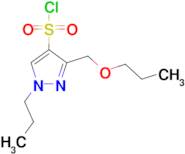 3-(propoxymethyl)-1-propyl-1H-pyrazole-4-sulfonyl chloride