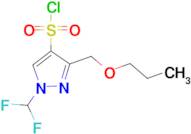 1-(Difluoromethyl)-3-(propoxymethyl)-1H-pyrazole-4-sulfonyl chloride