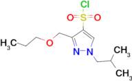 1-isobutyl-3-(propoxymethyl)-1H-pyrazole-4-sulfonyl chloride