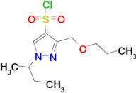 1-sec-butyl-3-(propoxymethyl)-1H-pyrazole-4-sulfonyl chloride