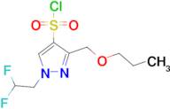 1-(2,2-difluoroethyl)-3-(propoxymethyl)-1H-pyrazole-4-sulfonyl chloride