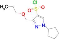 1-cyclopentyl-3-(propoxymethyl)-1H-pyrazole-4-sulfonyl chloride