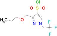 3-(propoxymethyl)-1-(2,2,2-trifluoroethyl)-1H-pyrazole-4-sulfonyl chloride