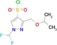 1-(Difluoromethyl)-3-(isopropoxymethyl)-1H-pyrazole-4-sulfonyl chloride