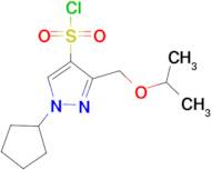 1-cyclopentyl-3-(isopropoxymethyl)-1H-pyrazole-4-sulfonyl chloride