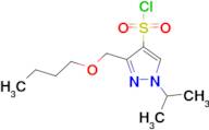 3-(butoxymethyl)-1-isopropyl-1H-pyrazole-4-sulfonyl chloride