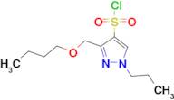 3-(butoxymethyl)-1-propyl-1H-pyrazole-4-sulfonyl chloride