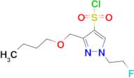 3-(butoxymethyl)-1-(2-fluoroethyl)-1H-pyrazole-4-sulfonyl chloride