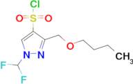 3-(Butoxymethyl)-1-(difluoromethyl)-1H-pyrazole-4-sulfonyl chloride