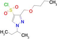 3-(butoxymethyl)-1-sec-butyl-1H-pyrazole-4-sulfonyl chloride